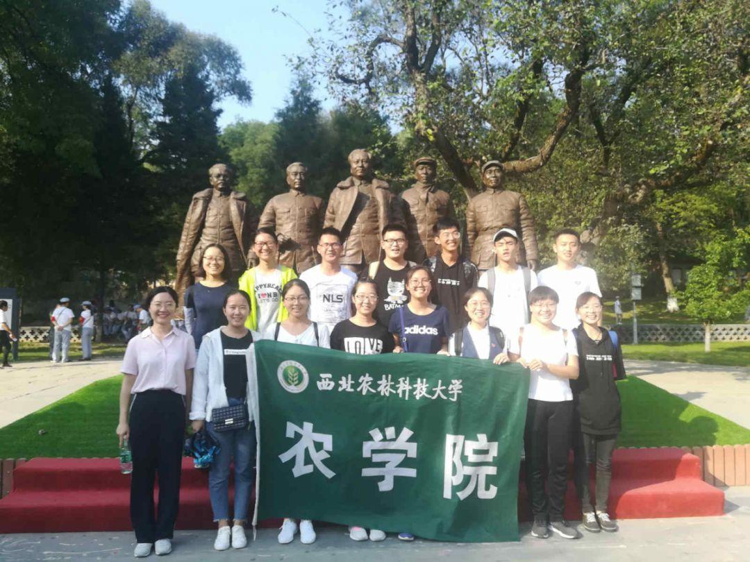 研究人员发现了一种提高心脏病发作患者生存率的有希望的疗法